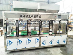 直線91免费视频污